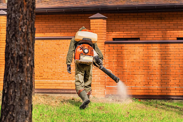 Bed Bug Clearance Verification and Documentation in Island Park